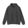 Pirate Ship Hoodie — "Jynxi Pirate Shop" Crest Pullover