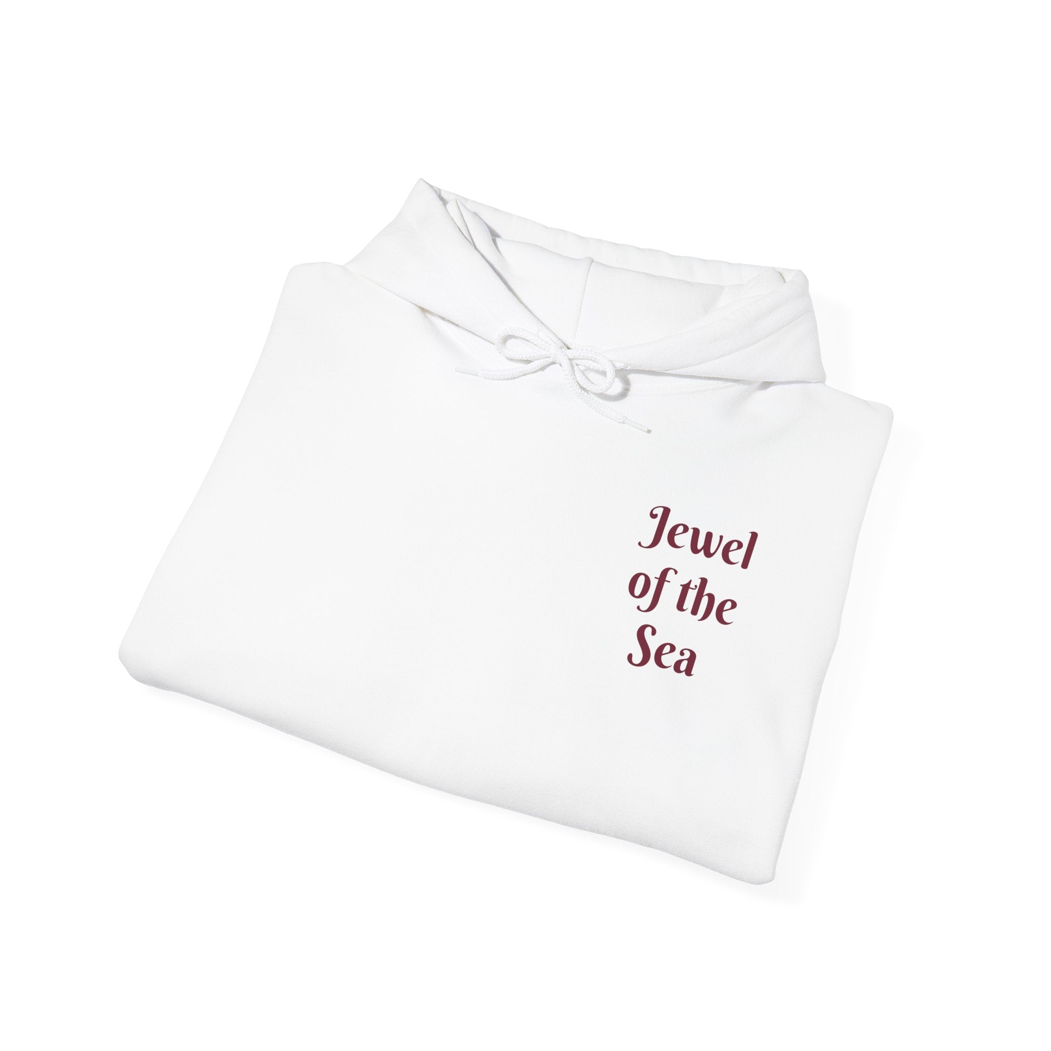Jewel of the Sea Hoodie — Vintage Sailing Ship Graphic Pullover